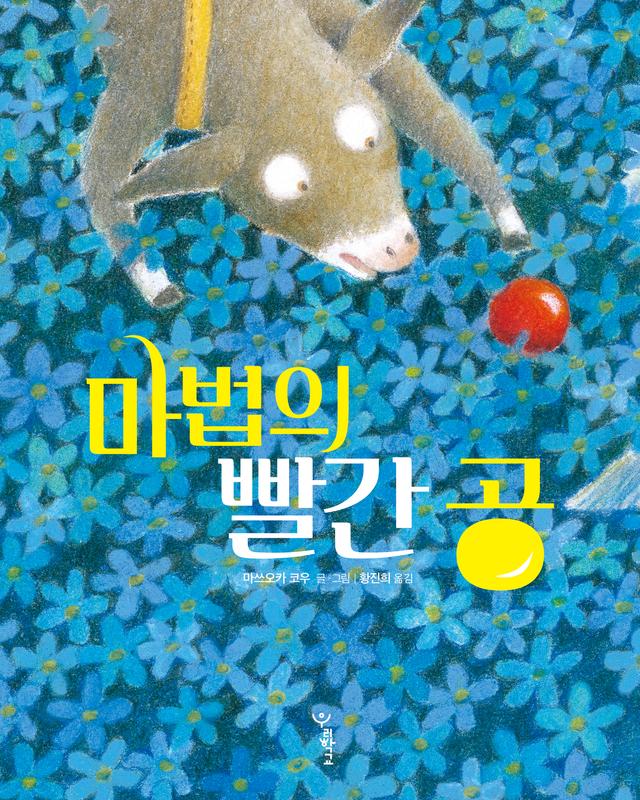 마법의 빨간 공